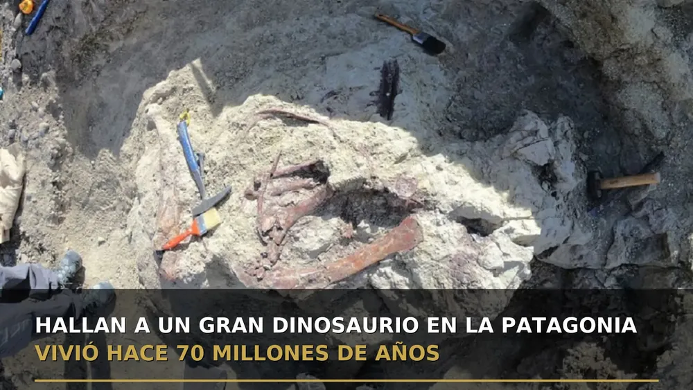 formato_foto1_dinosaurio_patagonia