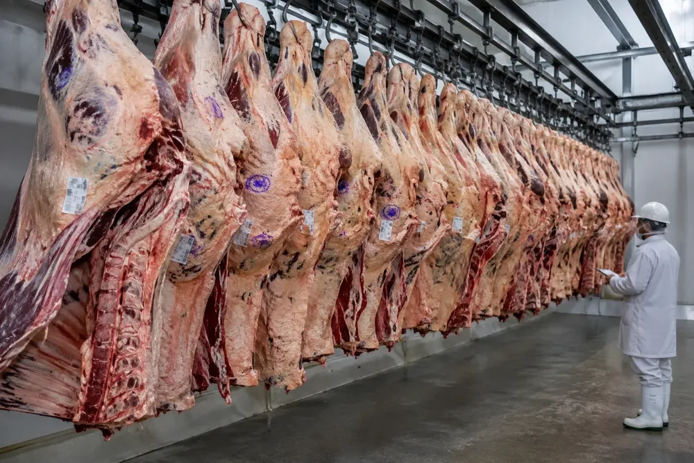 Carne