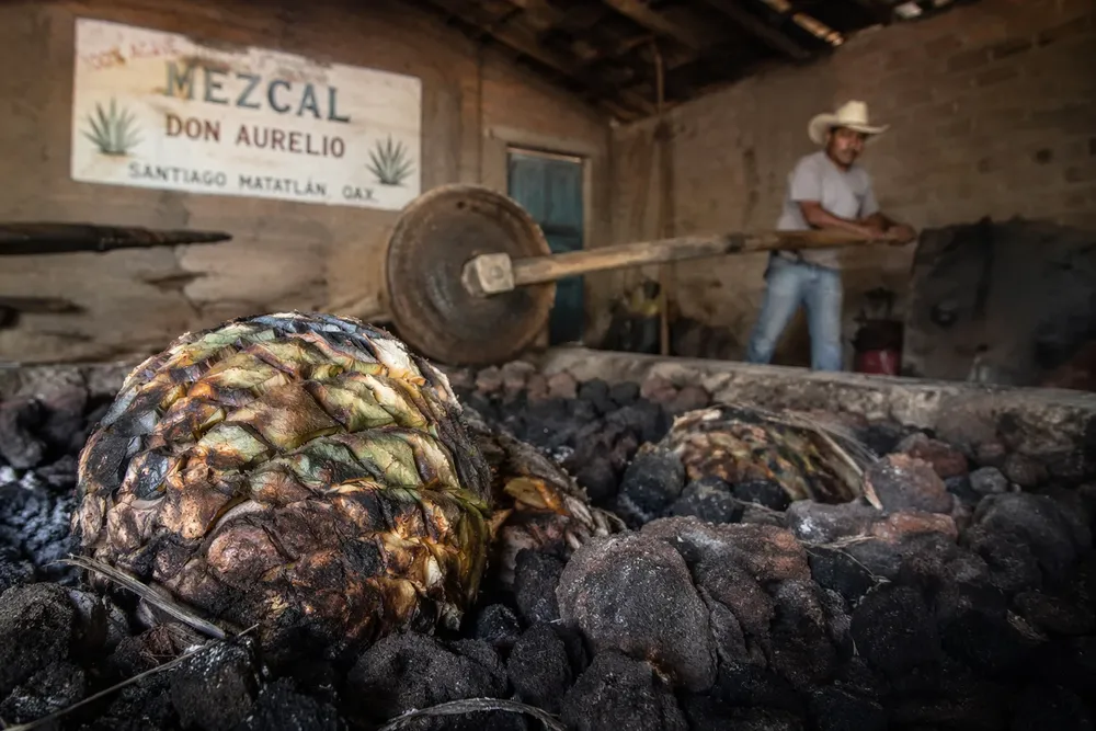 22e9c280-8f4b-46e0-9449-4ee77e96e6bd