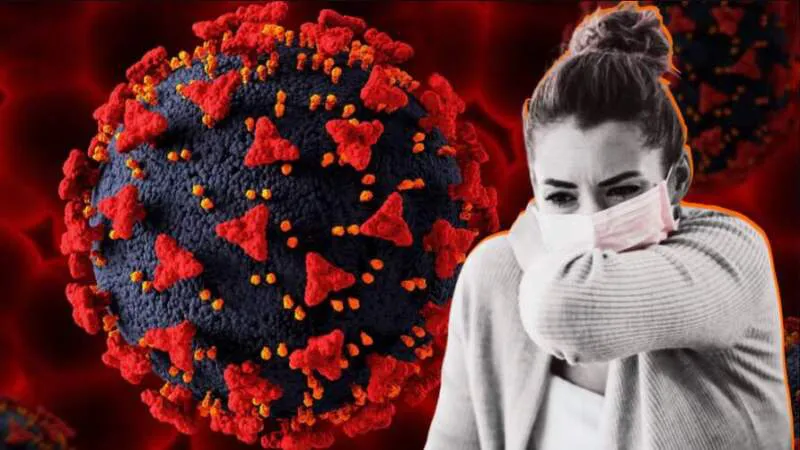 Captura-de-pantalla-2025-12-19-171218