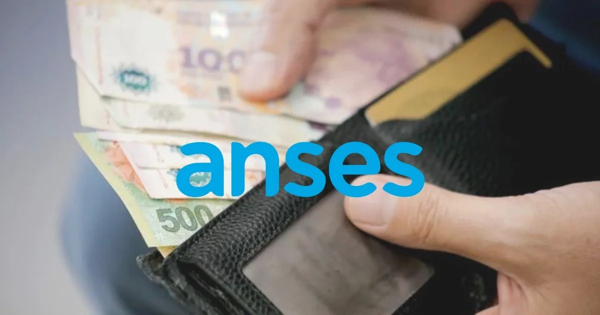 anses_efectivo.jpg_993573047